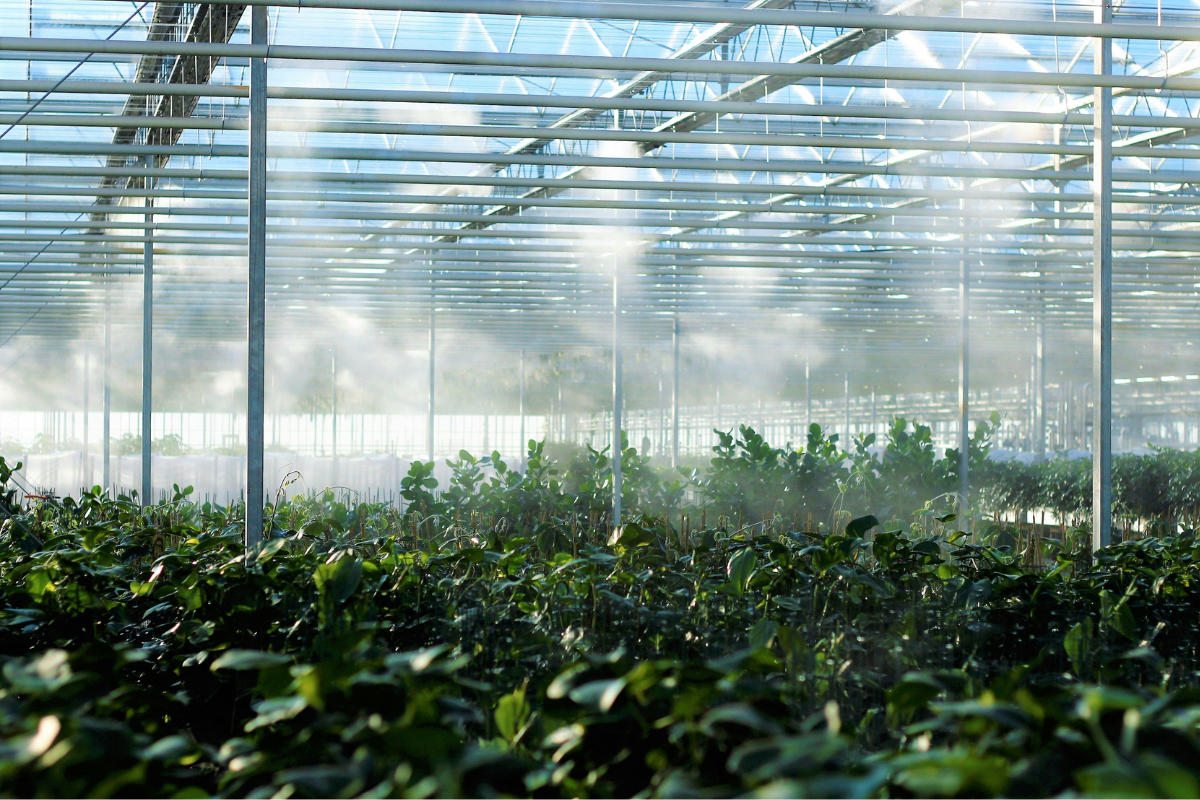 hexafarms raises €4.8 million to advance its wireless crop sensing and automated pest and disease scouting
